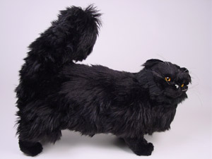 and Cute stuffed Black Persian