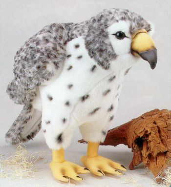 peregrine falcon plush