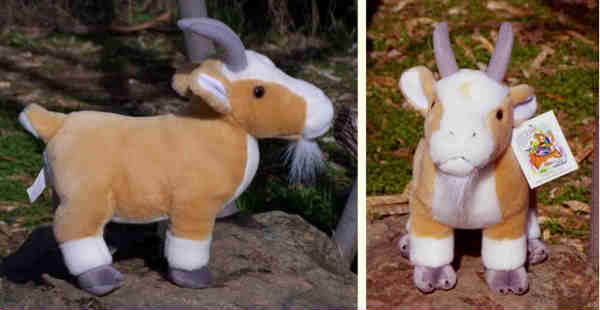 Low maintenance goats recommended for newbies? - Goats