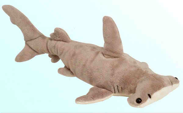 Hammerhead Shark picture 6