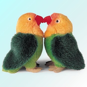 images of lovebirds. Plush Stuffed Lovebirds