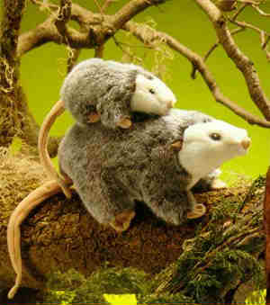 opossum stuffed animal with babies