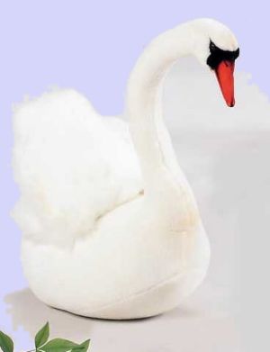 Small Swan