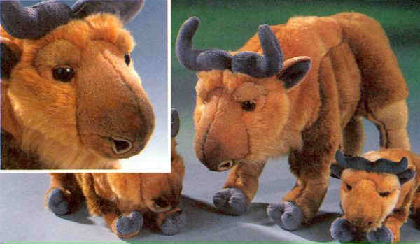 stuffed takin jpg
