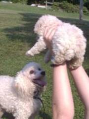 cammie_pup.jpg